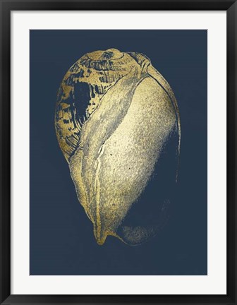 Framed Gold Foil Shell IV on Cobalt Print