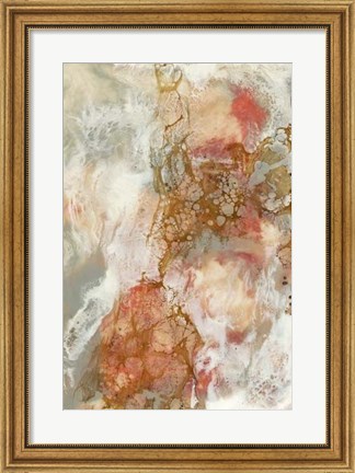 Framed Coral Lace II Print