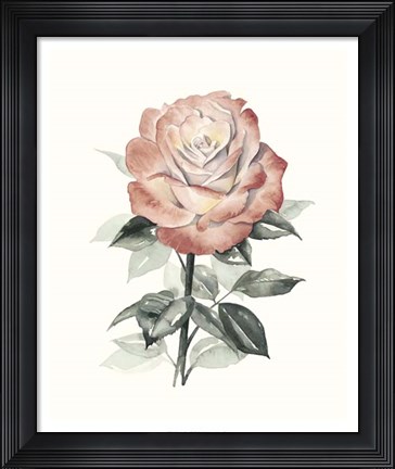 Framed Beholden Rose I Print