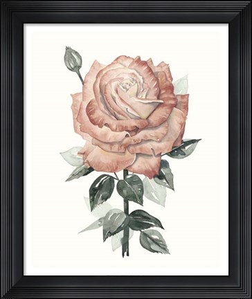 Framed Beholden Rose II Print