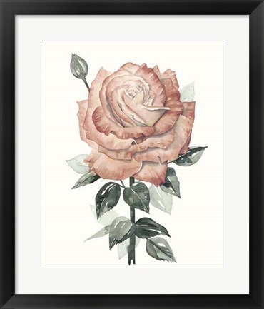 Framed Beholden Rose II Print