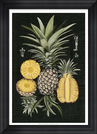Framed Graphic Pineapple Botanical Study I Print