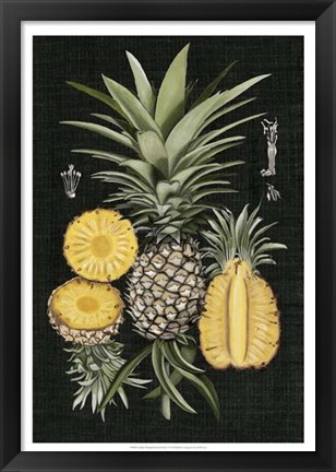 Framed Graphic Pineapple Botanical Study I Print