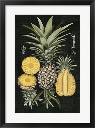 Framed Graphic Pineapple Botanical Study I Print