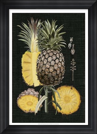 Framed Graphic Pineapple Botanical Study II Print