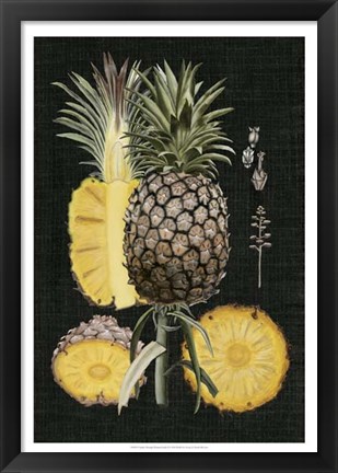 Framed Graphic Pineapple Botanical Study II Print