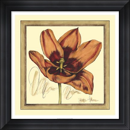 Framed Tulip Study I Print