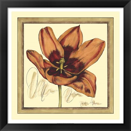 Framed Tulip Study I Print