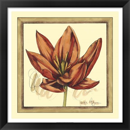 Framed Tulip Study II Print