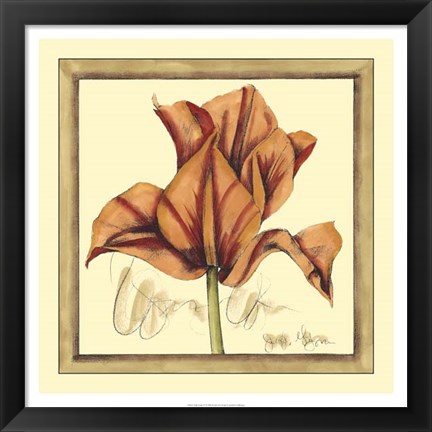 Framed Tulip Study IV Print