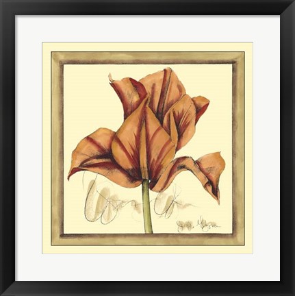 Framed Tulip Study IV Print