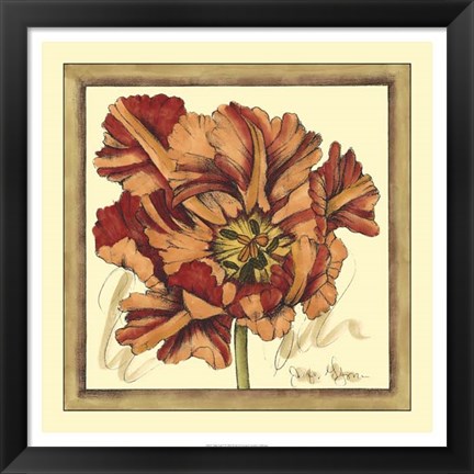 Framed Tulip Study V Print