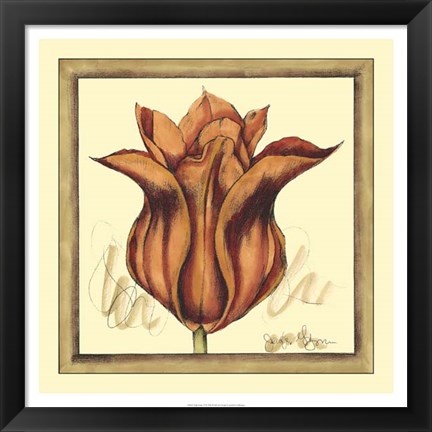 Framed Tulip Study VI Print