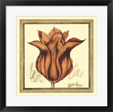 Framed Tulip Study VI Print