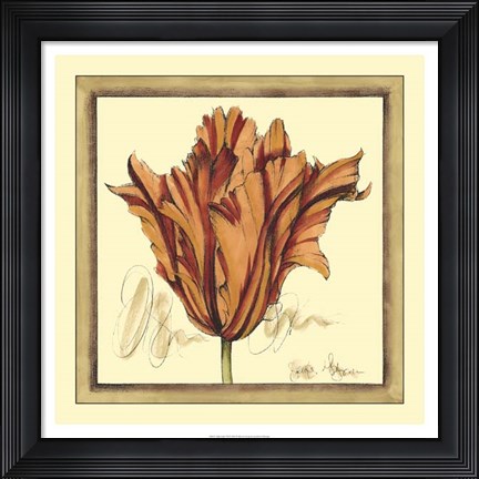 Framed Tulip Study VII Print