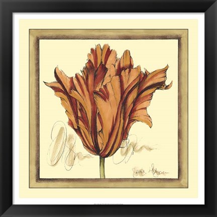 Framed Tulip Study VII Print