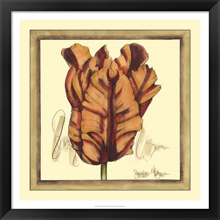 Framed Tulip Study VIII Print