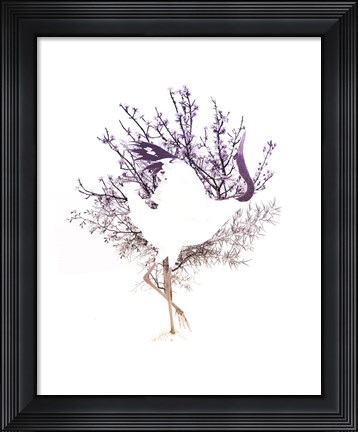 Framed Red Crowned Crane Pair, Part II Print