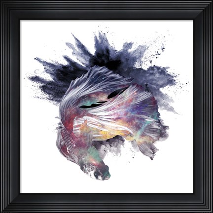 Framed Cosmic Betta Print