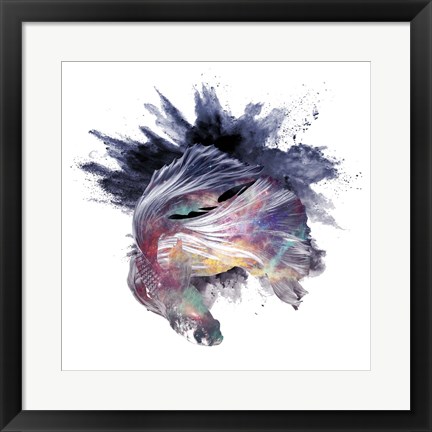 Framed Cosmic Betta Print