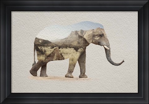 Framed African Elephant Erongo Namibia Print