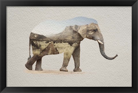 Framed African Elephant Erongo Namibia Print