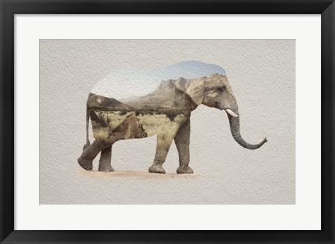 Framed African Elephant Erongo Namibia Print