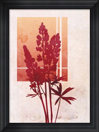 Framed Ombre Lupine Flowers Print