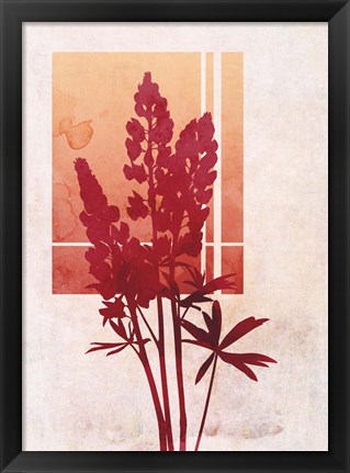 Framed Ombre Lupine Flowers Print