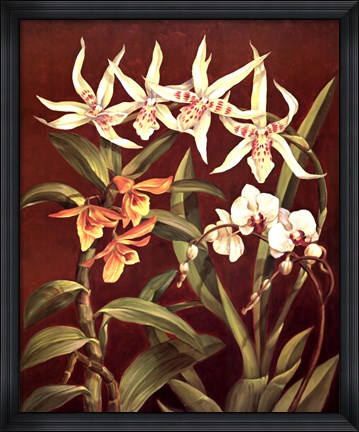 Framed Orchid Trio I Print