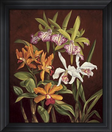 Framed Orchid Trio II Print