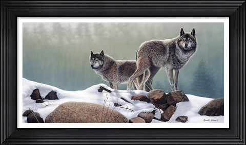 Framed Out of the Forest Print