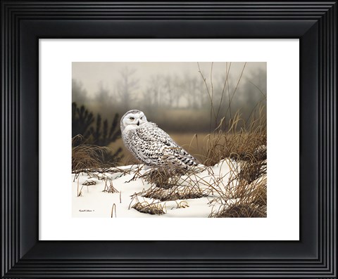 Framed Snowy Mist Print