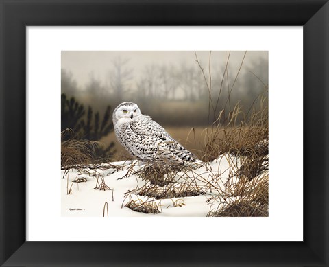 Framed Snowy Mist Print