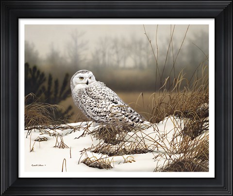 Framed Snowy Mist Print
