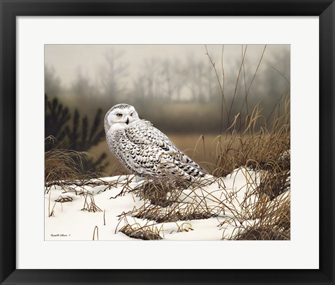 Framed Snowy Mist Print