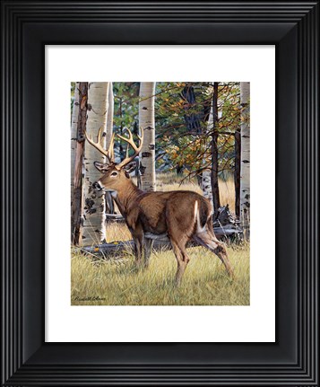 Framed Fall Whitetail Print
