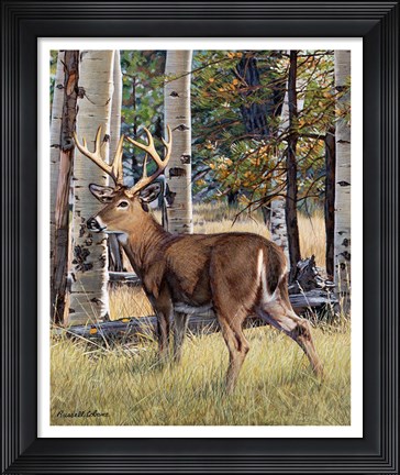 Framed Fall Whitetail Print