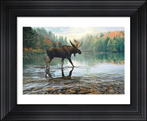Framed Moose Crossing Print