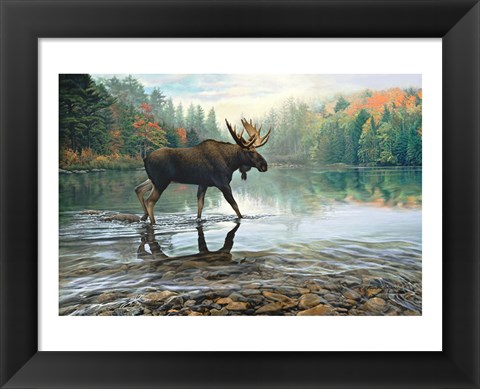 Framed Moose Crossing Print