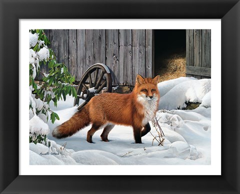 Framed Fox and Barn Print
