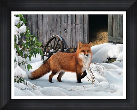 Framed Fox and Barn Print