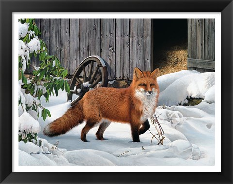 Framed Fox and Barn Print