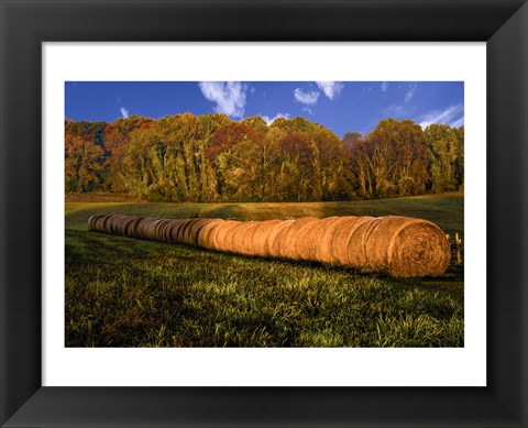 Framed Hay Bales Print