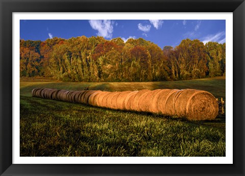 Framed Hay Bales Print