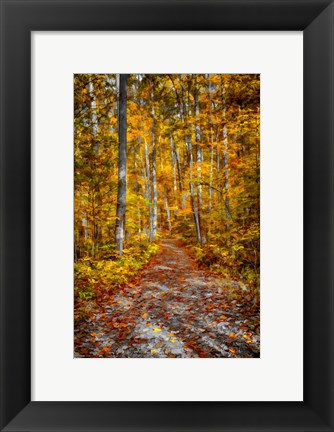 Framed Ohiopyle Path Print