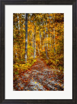 Framed Ohiopyle Path Print