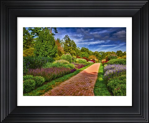 Framed Yellow Brick Road Print
