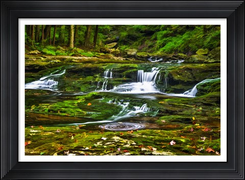 Framed Sullivan's Run #1 Print