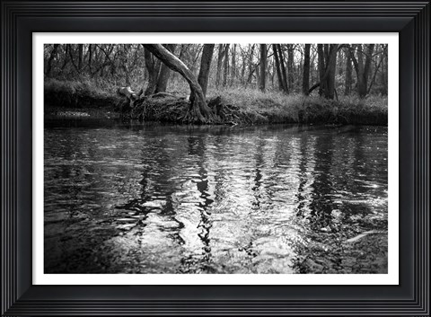 Framed Bank Study #1 Print